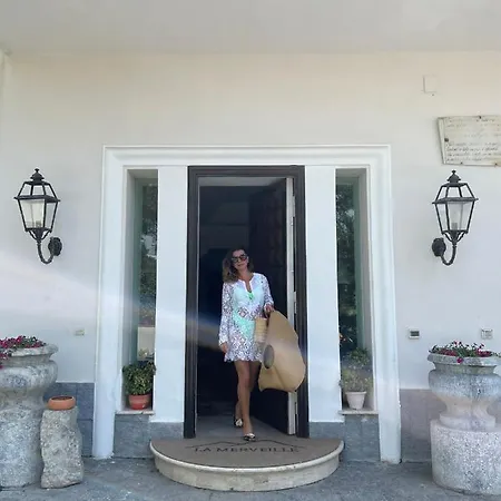 Boutique La Merveille 托雷德尔格雷科